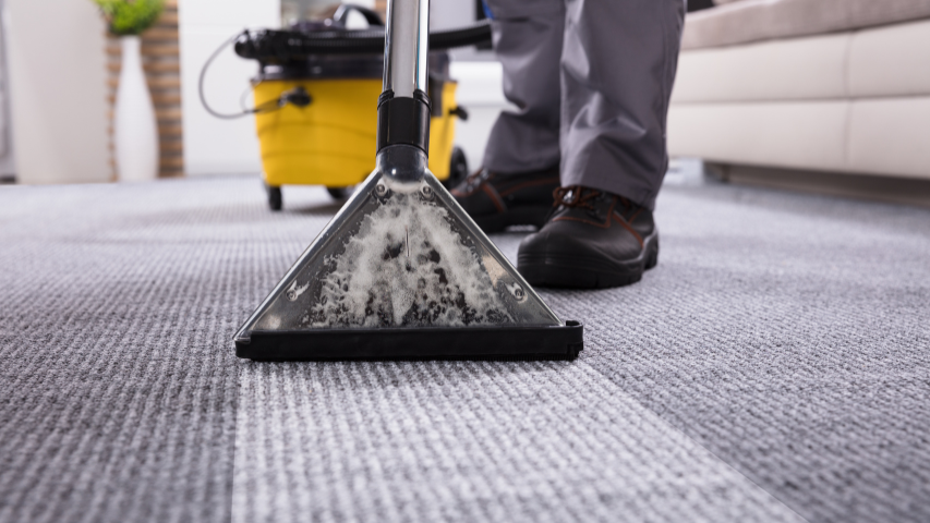 Well-Established Carpet and Floor Cleaning Company