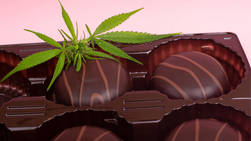 Cannabis Edibles and Extracts Manufacturer